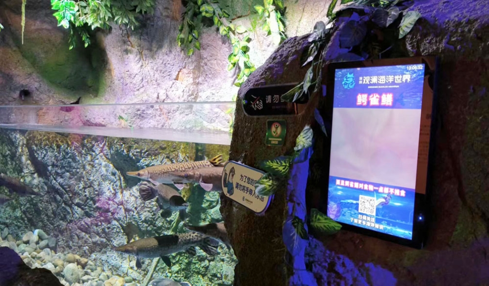 海洋馆壁挂式数字标牌解决方案